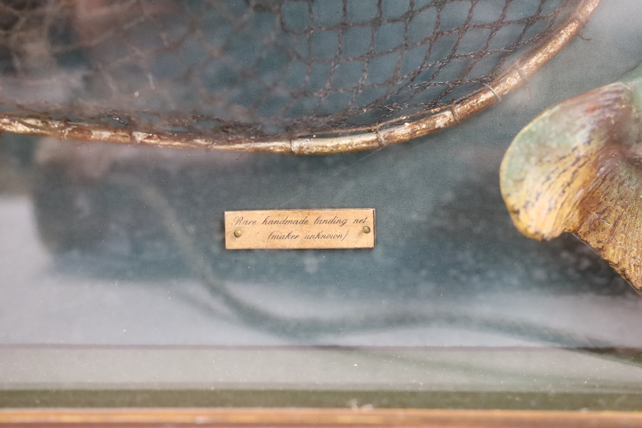 A cased fishing display case of a Rainbow Trout centred around angling ephemera, 106 x 34cm